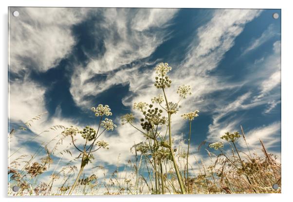 Sky cloud Acrylic by Simon Johnson