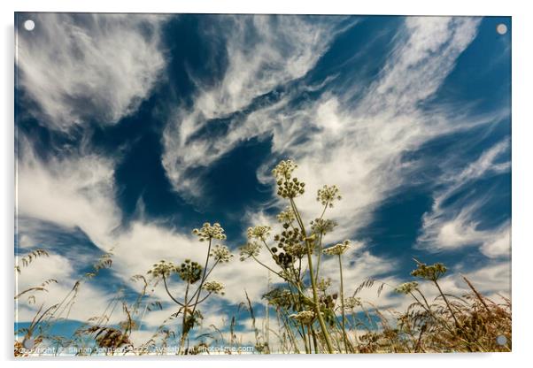 Sky cloud Acrylic by Simon Johnson