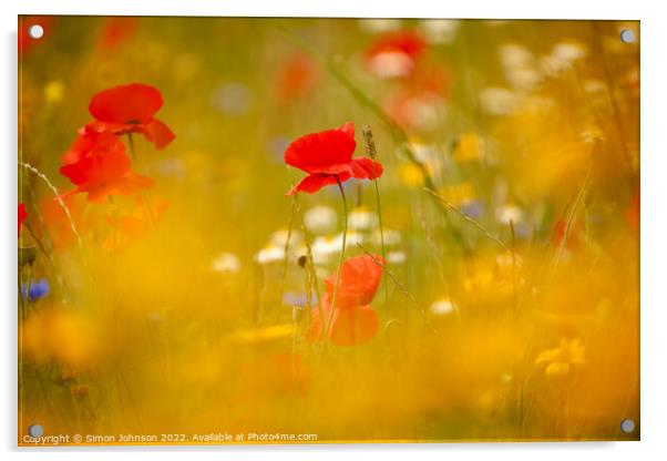  Poppys shot through grass Acrylic by Simon Johnson