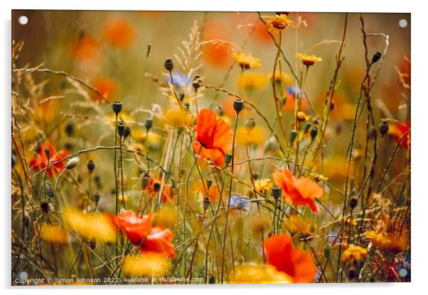 Poppies and meadow flowers  Acrylic by Simon Johnson