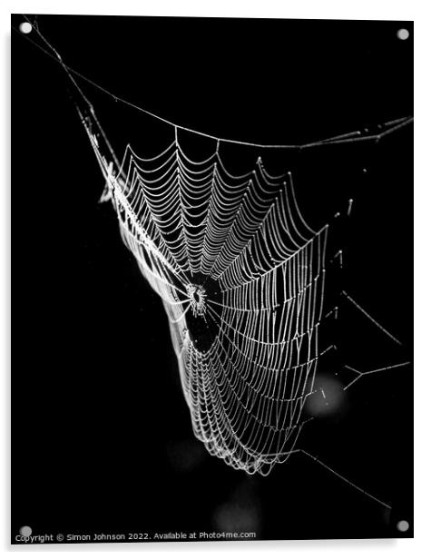 sunlit spiders web Acrylic by Simon Johnson