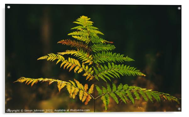 Plant leaves Acrylic by Simon Johnson