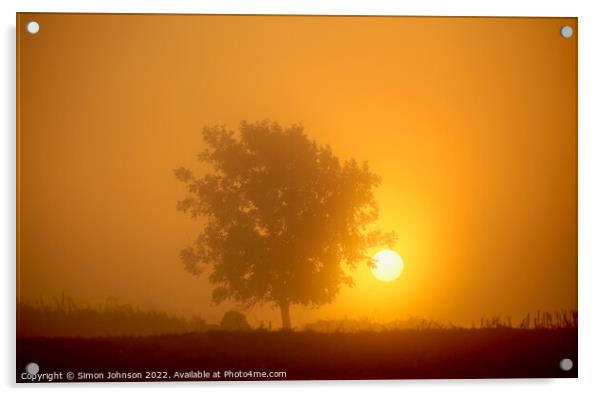 Misty sunrise Acrylic by Simon Johnson