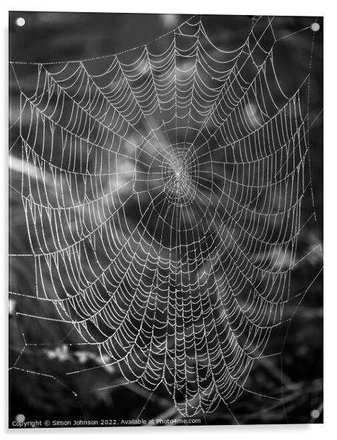spiders web Acrylic by Simon Johnson