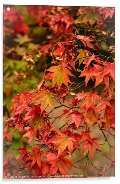 Autumnal leaves Acrylic by Simon Johnson