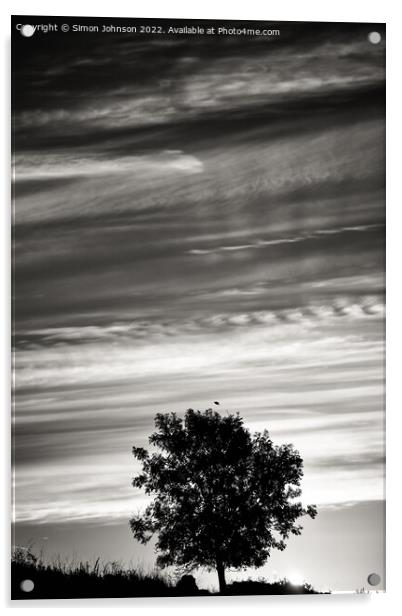 Tree silhouette and cloudscape Acrylic by Simon Johnson