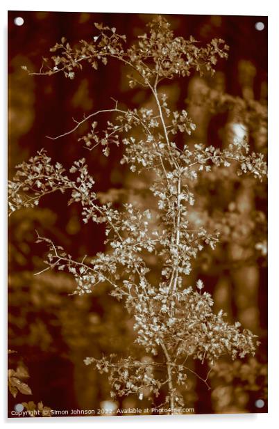 sunlit leaves in sepia Acrylic by Simon Johnson