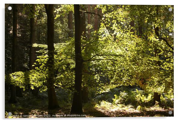 sunlit leaves  Acrylic by Simon Johnson