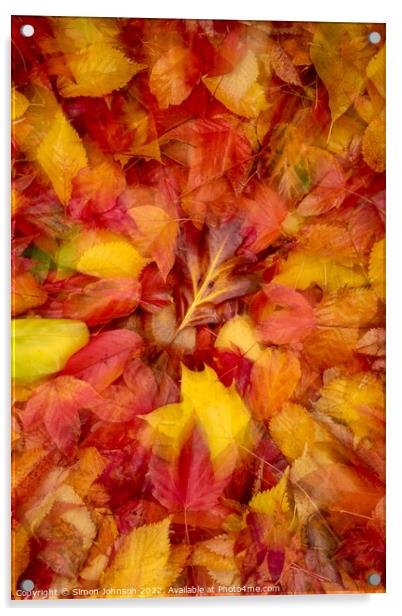 Autumn leaves Collage Acrylic by Simon Johnson