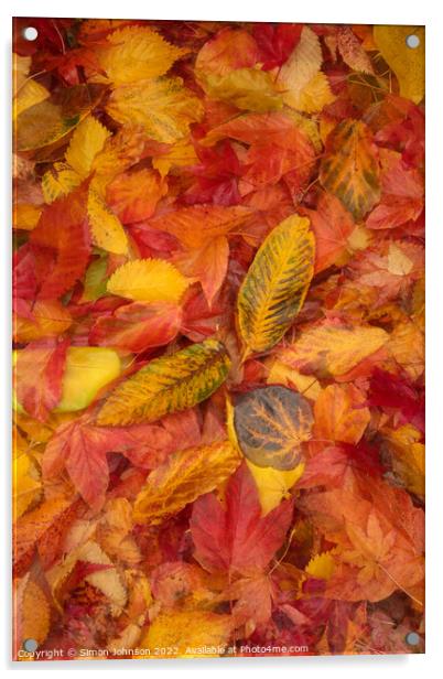Autumnnal leaves Acrylic by Simon Johnson