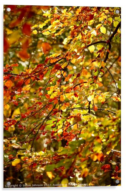 sunlit leaves  Acrylic by Simon Johnson