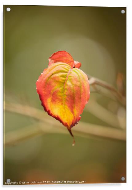 Autumn Leaf Acrylic by Simon Johnson