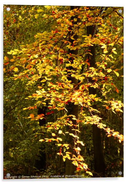 sunlit Autumn Leaves  Acrylic by Simon Johnson