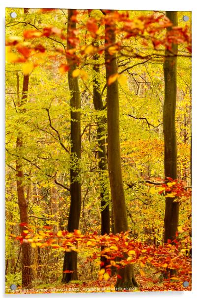 Autumn Woodland Acrylic by Simon Johnson