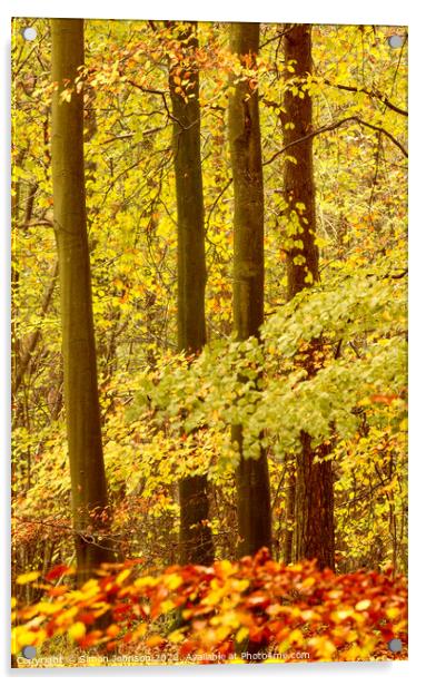  Autumn woodland  Acrylic by Simon Johnson