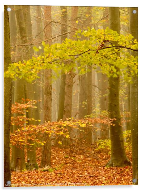 Autumn woodland Acrylic by Simon Johnson