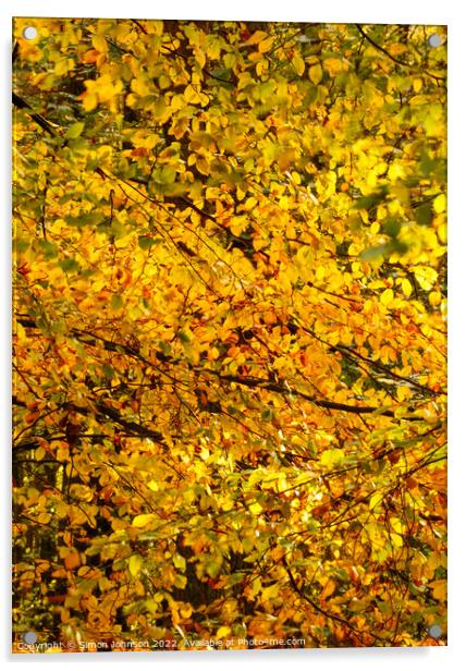 sunlit autumn leaves Acrylic by Simon Johnson