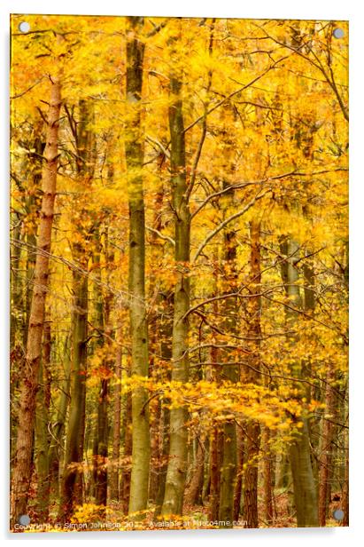 Wind blown autumn woodland Acrylic by Simon Johnson