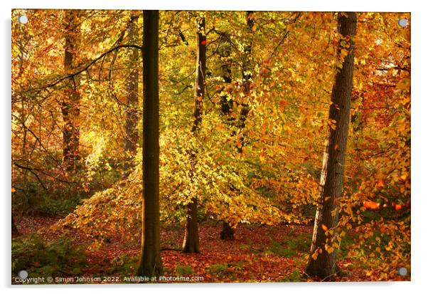 Autumn Gold Acrylic by Simon Johnson