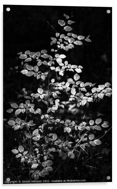 sunlit leaves in monochrome  Acrylic by Simon Johnson