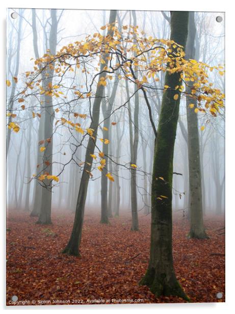 misty woodland  Acrylic by Simon Johnson