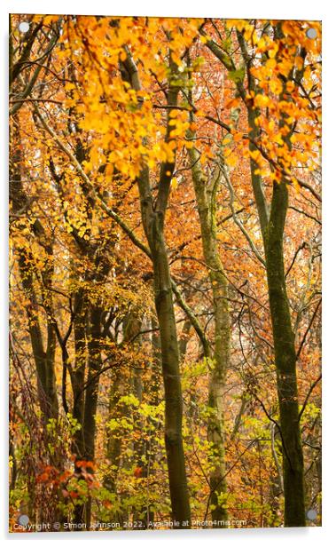 Autumn colour  Acrylic by Simon Johnson