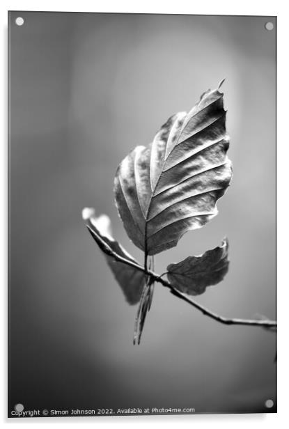 Beech leaf monochrome  Acrylic by Simon Johnson