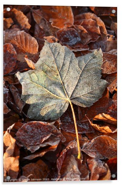 Frosted leaf Acrylic by Simon Johnson