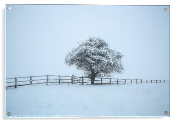 Frosted tree Acrylic by Simon Johnson