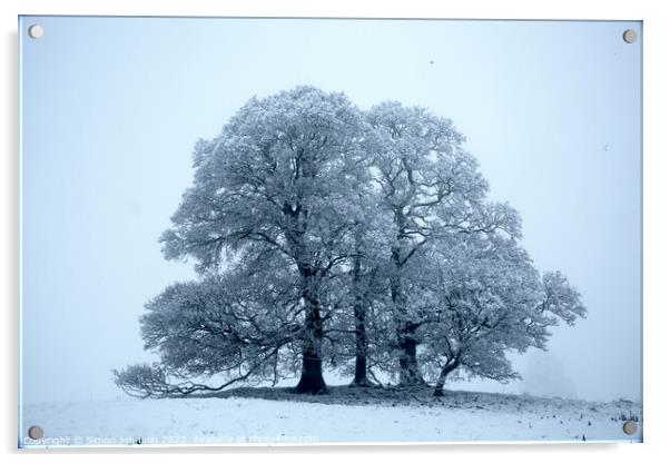 Trees in Snow Acrylic by Simon Johnson
