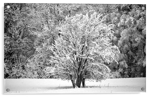 Snow scene Cotswolds Acrylic by Simon Johnson