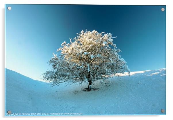 Frosted  tree Acrylic by Simon Johnson