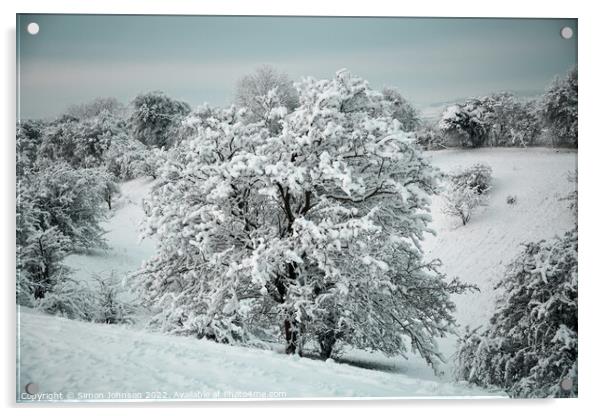 Cotswold Snow Acrylic by Simon Johnson