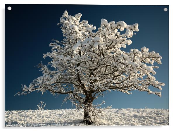 Frosted tree Acrylic by Simon Johnson