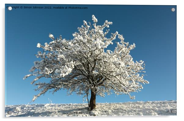 Frosted tree Acrylic by Simon Johnson