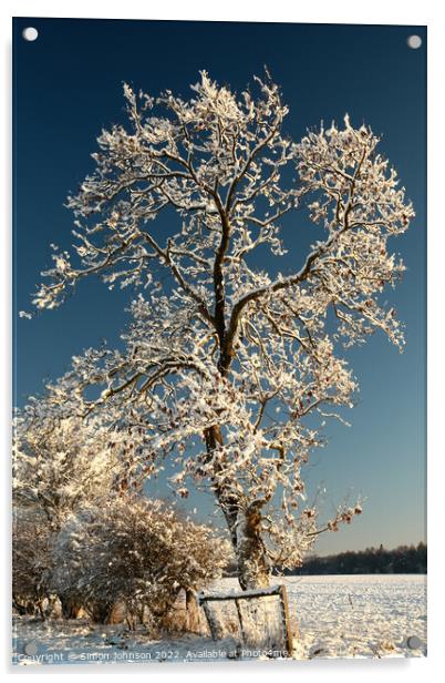 Frosty tree Acrylic by Simon Johnson