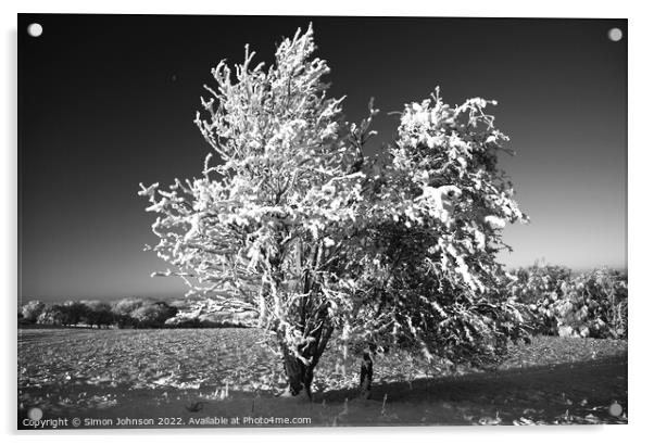 frosted tree in Monochrome  Acrylic by Simon Johnson