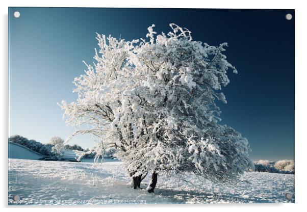 frosted  tree Acrylic by Simon Johnson