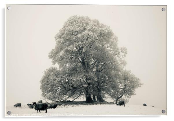 Frosted tree, sheep fog and Snow Acrylic by Simon Johnson