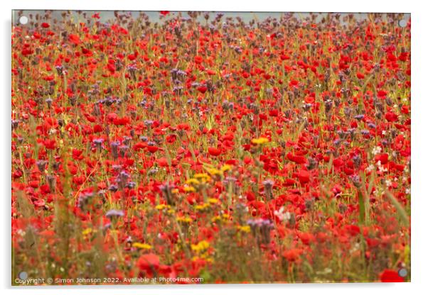 Summer poppy field Acrylic by Simon Johnson