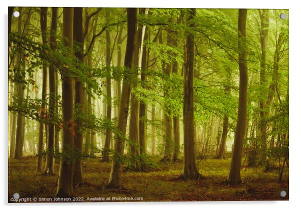 misty Woodland Acrylic by Simon Johnson