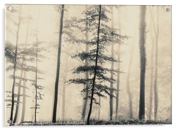 Trees Acrylic by Simon Johnson