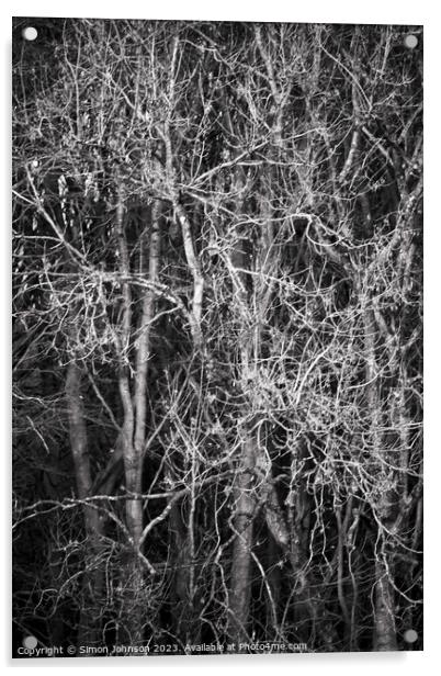 Sunlit branches monochrome  Acrylic by Simon Johnson