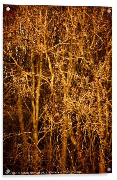 Sunlit branches  Acrylic by Simon Johnson