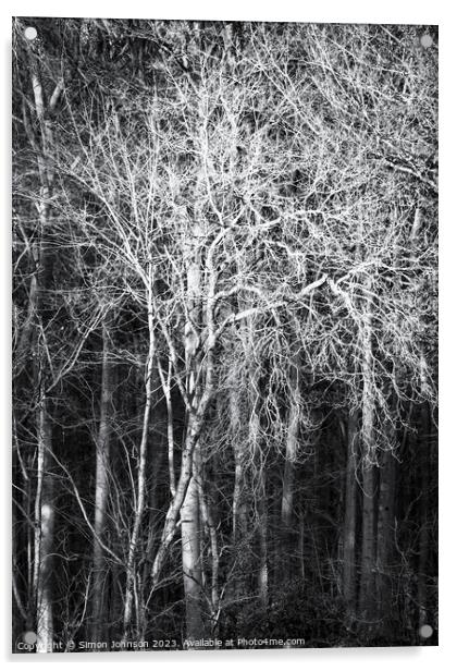 Sunlit tree monochrome  Acrylic by Simon Johnson