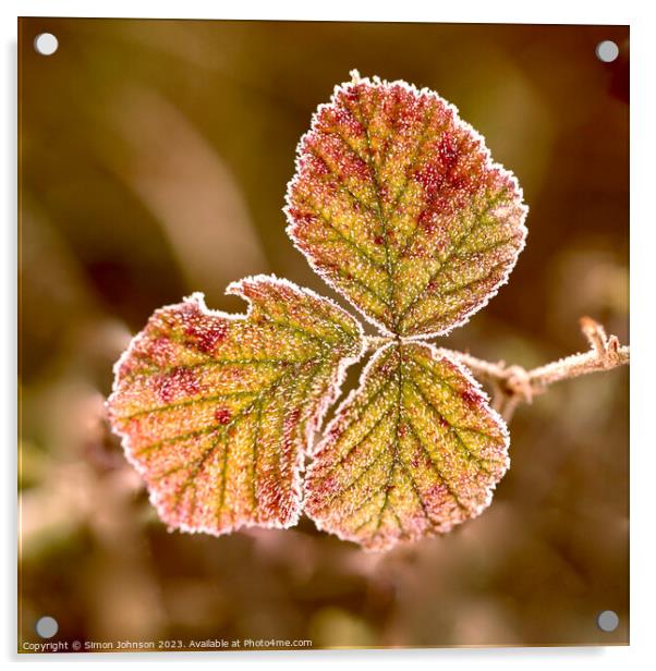 frosted leaf Acrylic by Simon Johnson