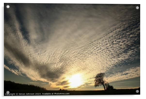 Leaning tree silhouette  Acrylic by Simon Johnson