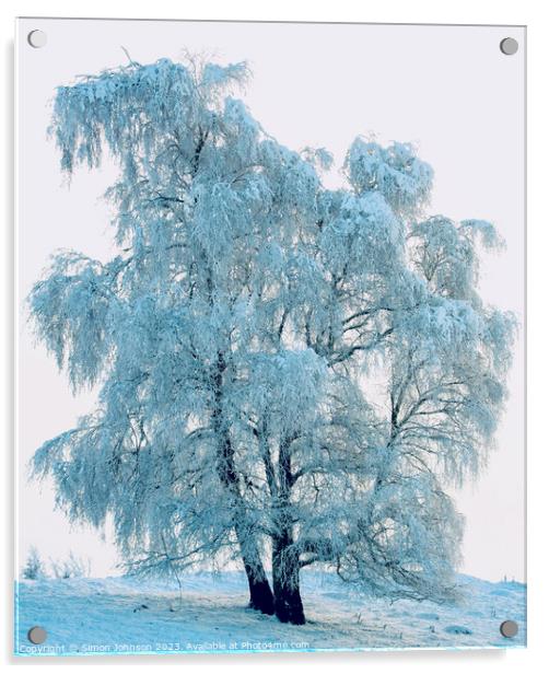 Frosted tree Acrylic by Simon Johnson