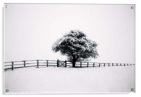 tree, snow and fence Acrylic by Simon Johnson
