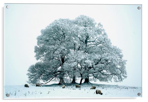 Cotswold winter Acrylic by Simon Johnson